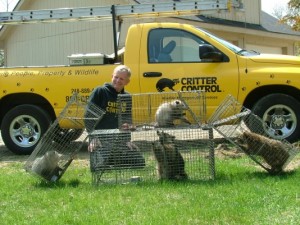 raleigh removal critter control about us